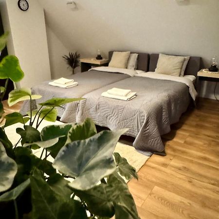 Apartamenty Astor - Ksiezycowy Szczawno-Zdroj Exterior photo