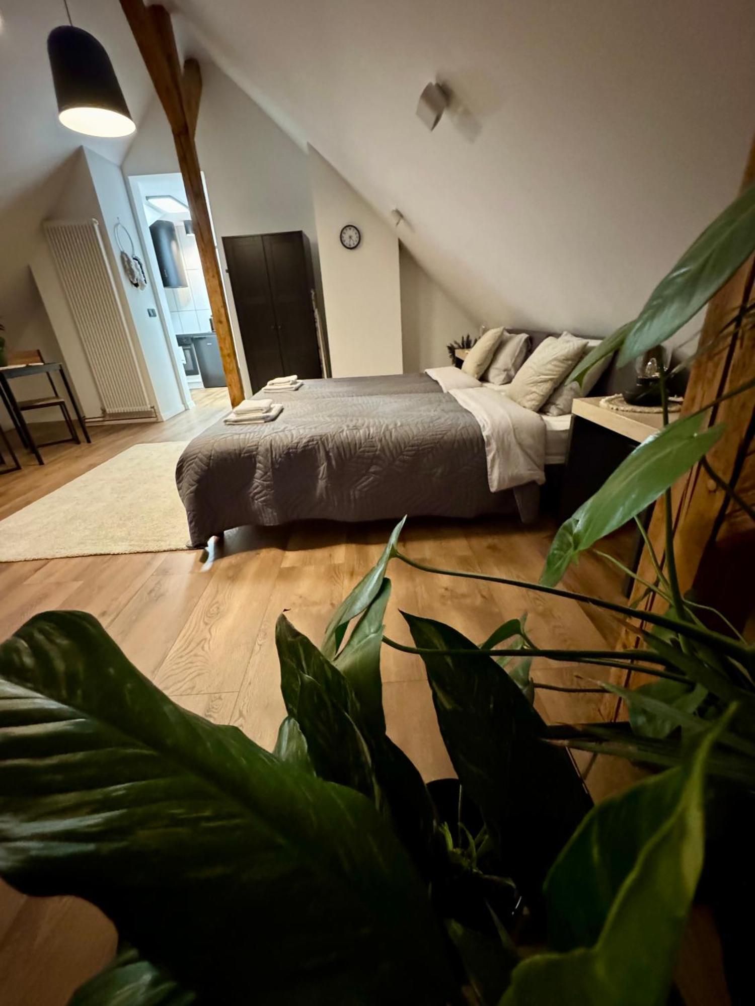Apartamenty Astor - Ksiezycowy Szczawno-Zdroj Exterior photo