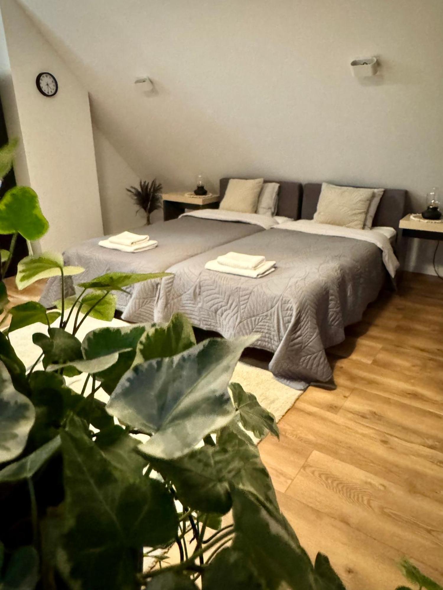 Apartamenty Astor - Ksiezycowy Szczawno-Zdroj Exterior photo